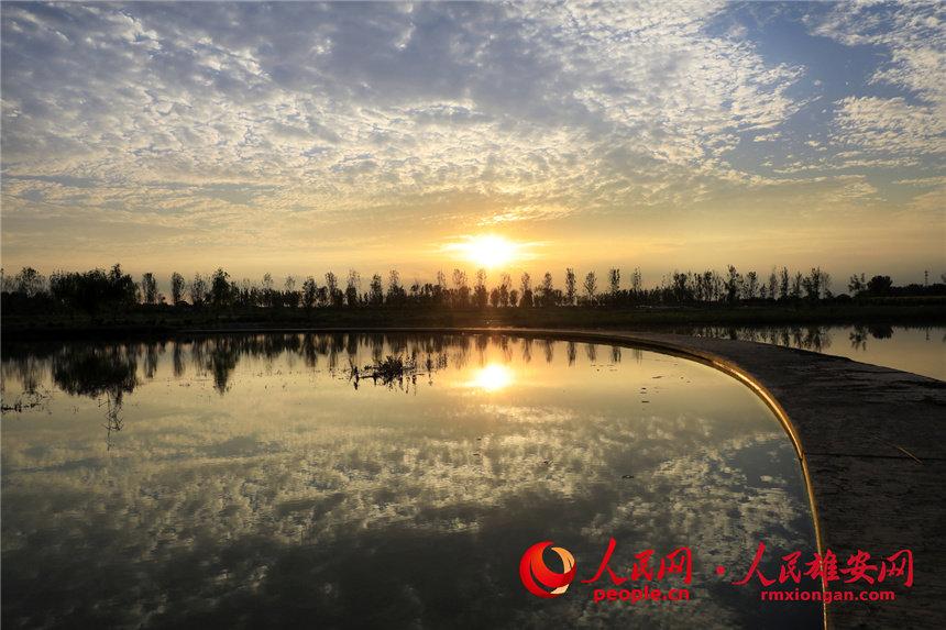 Desolate land in Xiongan New Area turned into popular park