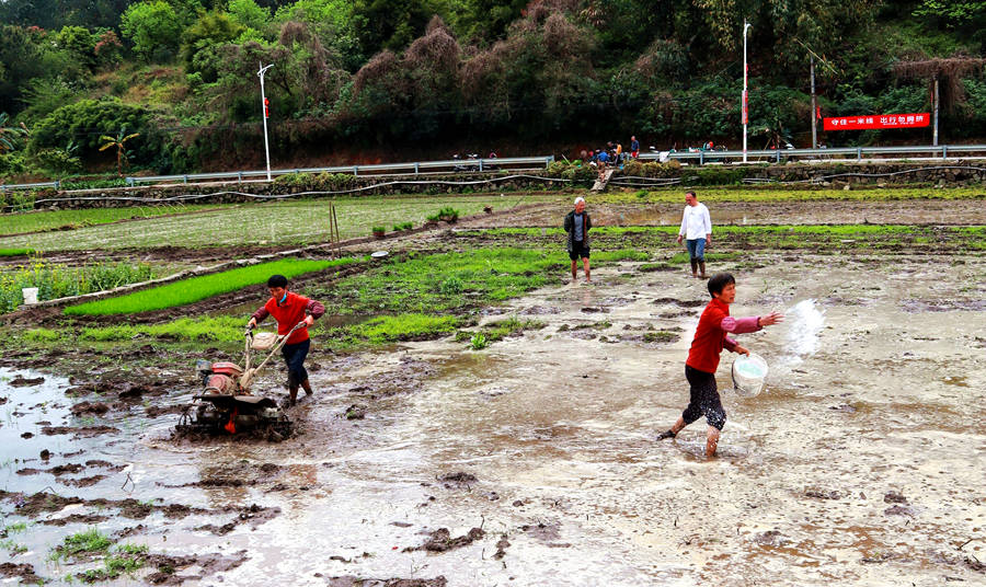 Farmers in Fujian focus energies on spring planting to shore up country’s food supply