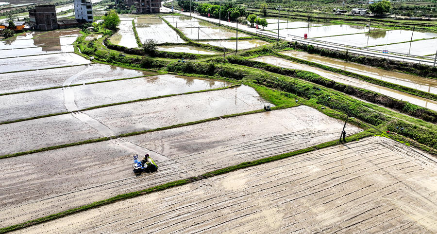 Farmers in Fujian focus energies on spring planting to shore up country’s food supply