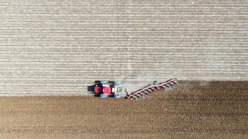 Spring farming starts in Xinjiang