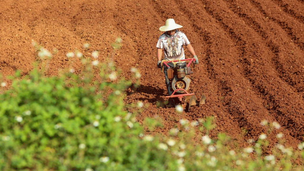 Farming activities in full swing across China