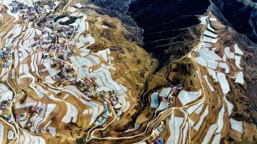 Aerial view of potato planting base in Qinghai