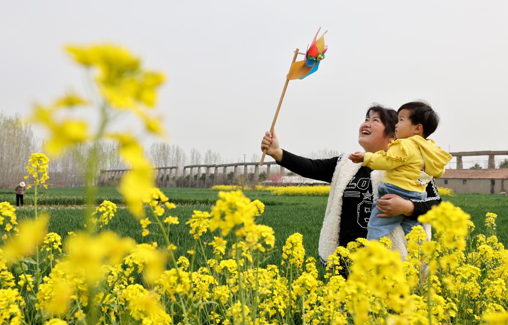 People across China enjoy spring view during Qingming Festival