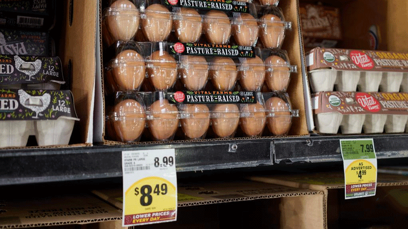 Outbreak of bird flu causes price of eggs to soar in U.S.