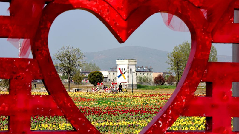 Tourists view tulips in Suiping County, Henan