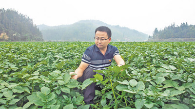 Entrepreneur brings fortune to farmers by promoting cultivation of winter potatoes