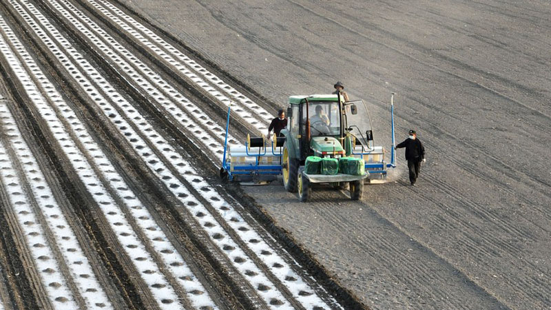 In Pics: Spring farming of cotton has started in Xinjiang