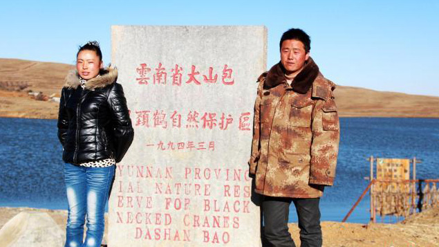 Family of three becomes guardian of endangered black-necked cranes at nature reserve in China’s Yunnan