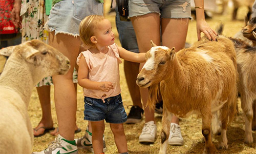 In pics: Sydney Royal Easter Show