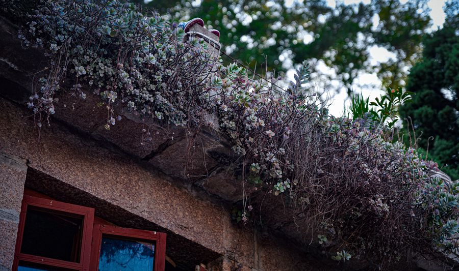 Explore simple, idyllic lifestyle of small fishing village on island in China’s Fujian