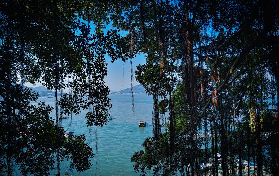 Explore simple, idyllic lifestyle of small fishing village on island in China’s Fujian
