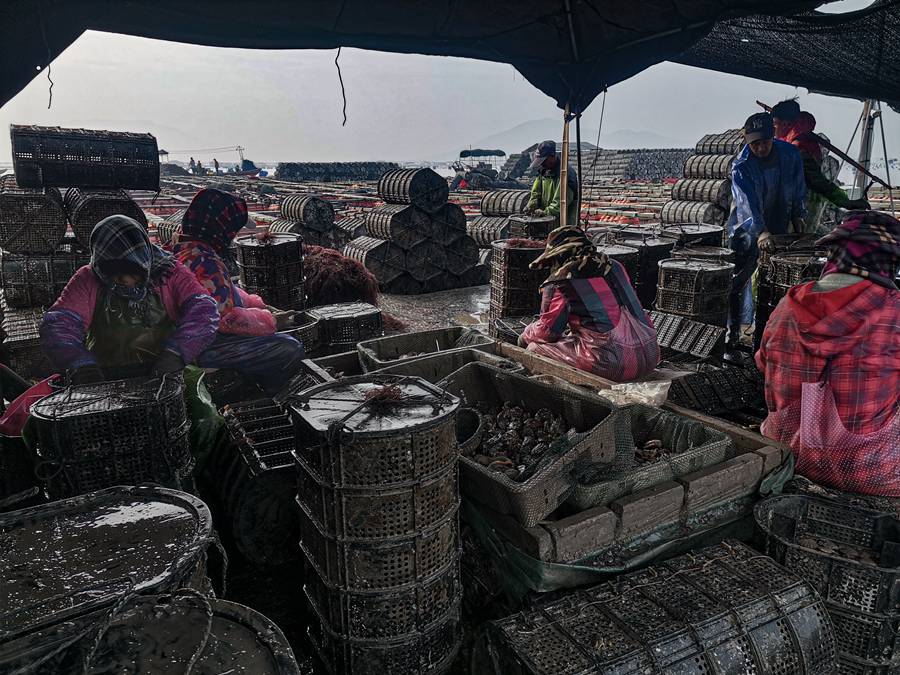 Explore simple, idyllic lifestyle of small fishing village on island in China’s Fujian