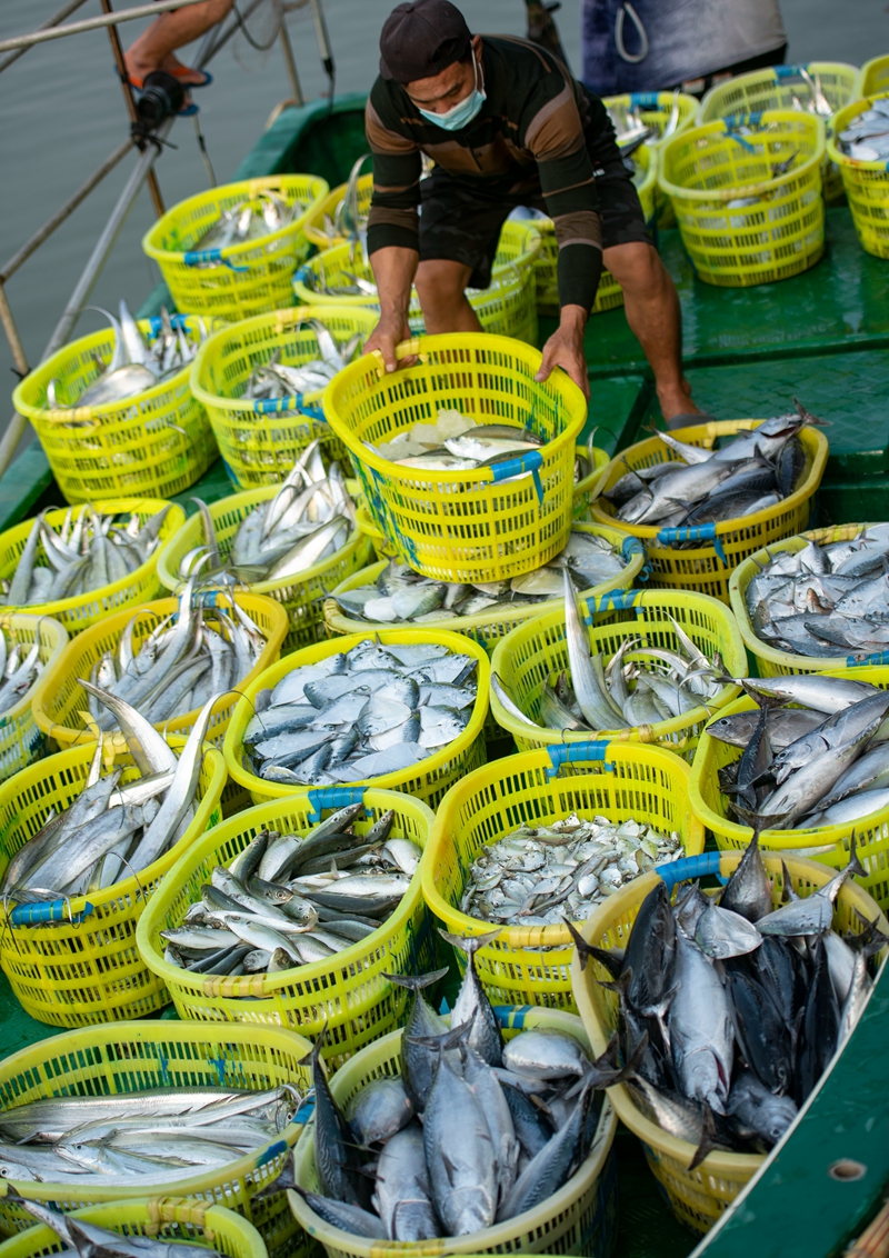 Fishermen of south China's Hainan greet late spring season with bountiful catch
