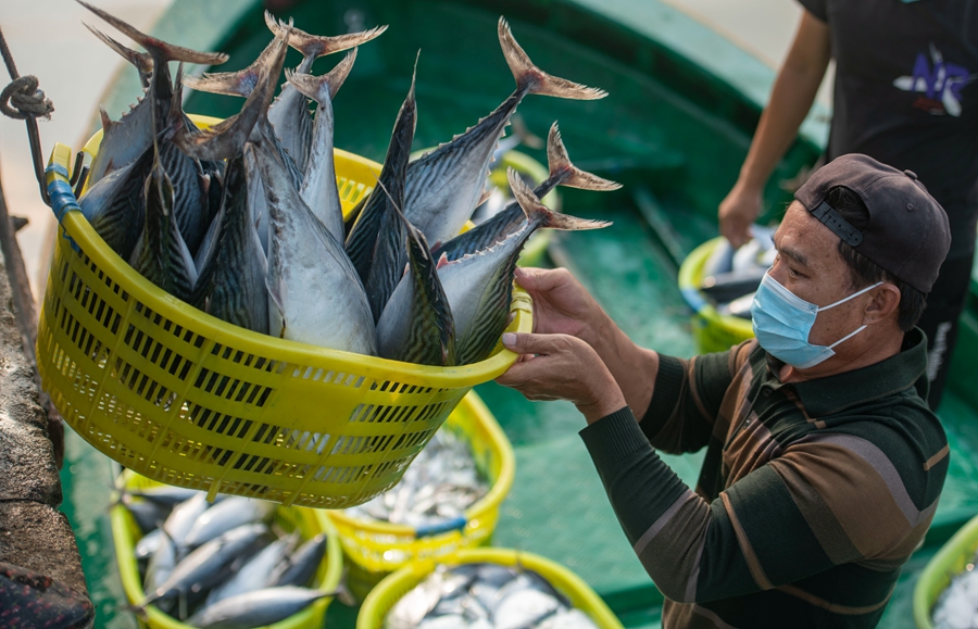 Fishermen of south China's Hainan greet late spring season with bountiful catch
