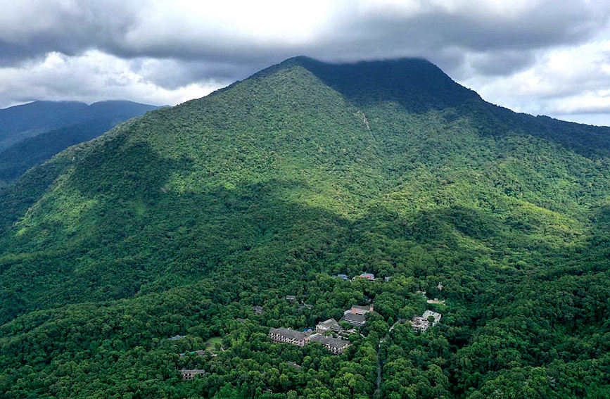 Sound ecological environment brings wealth to local residents in Wuzhishan city in Hainan