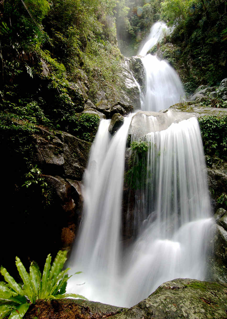 Sound ecological environment brings wealth to local residents in Wuzhishan city in Hainan