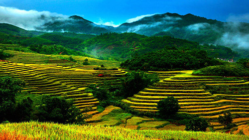 Sound ecological environment brings wealth to local residents in Wuzhishan city in Hainan