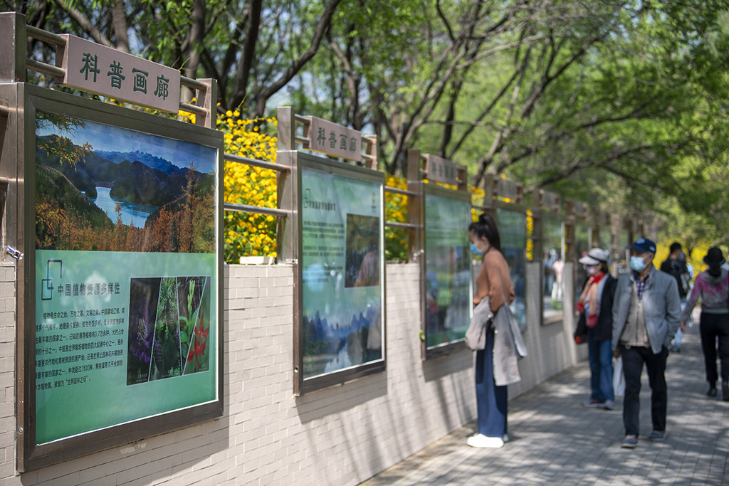 China National Botanical Garden in Beijing enters best time of year for admiring blooming flowers