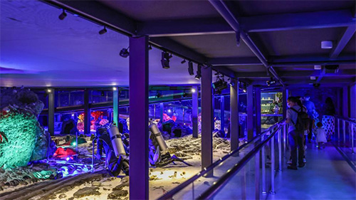 Exhibition featuring marine civilization of South China Sea held at Hainan Museum