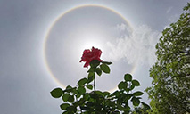 Stunning solar halo observed in Sichuan