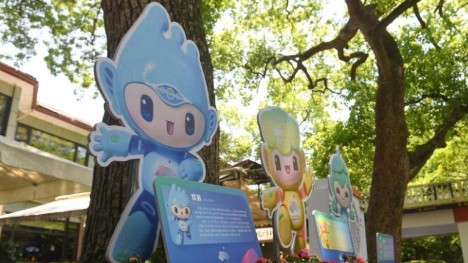 Hangzhou dressed up for upcoming Asian Games