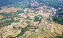 View of paddy fields in Donglan County of south China's Guangxi