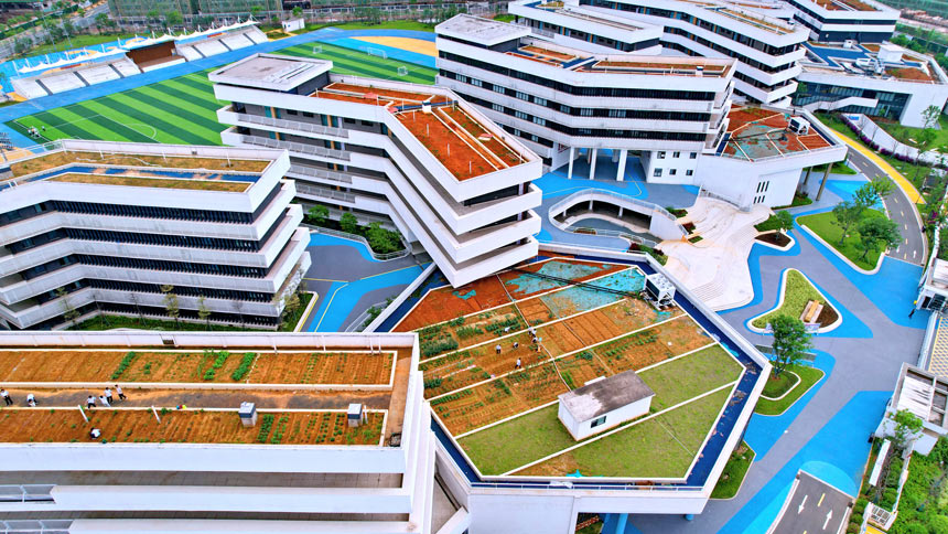 Rooftop vegetable gardens built atop middle school in Jiangxi give students practical hands-on experience