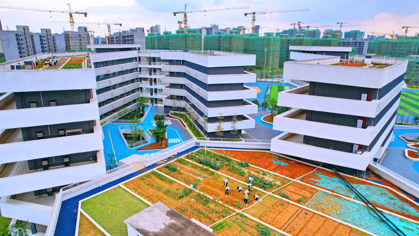 Rooftop vegetable gardens built atop middle school in Jiangxi give students practical hands-on experience