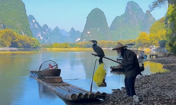 Meet this elderly cormorant fisherman