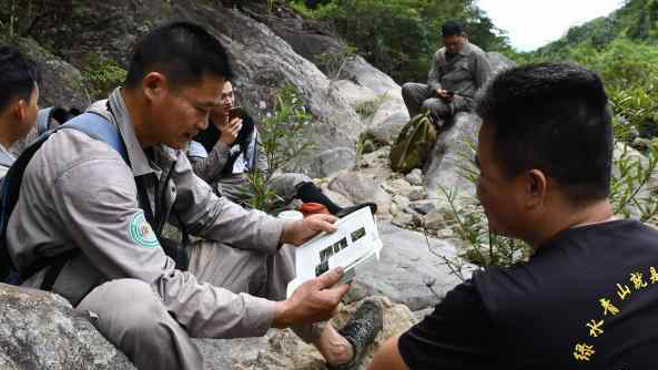Rainforest rangers become experts through continuous on-the-job learning