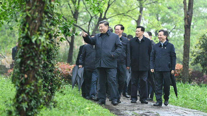 Xi stresses importance of wetland protection