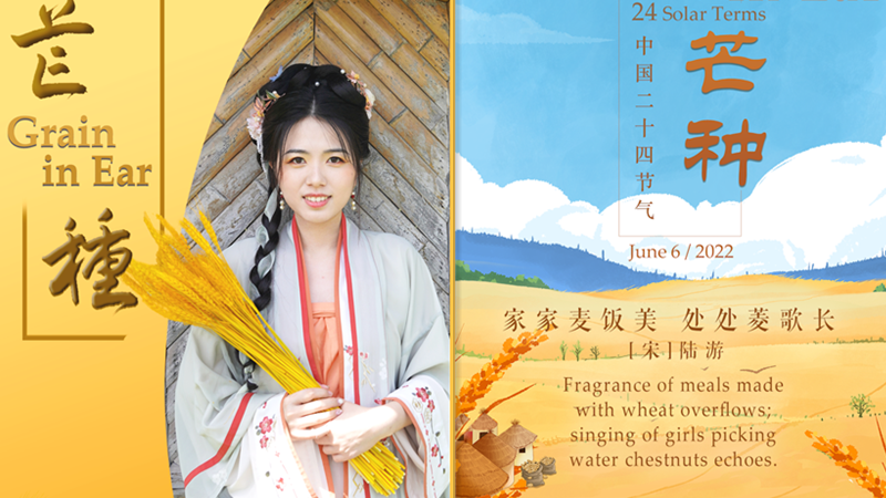 Calendar for Chinese 24 Solar Terms: Grain in Ear
