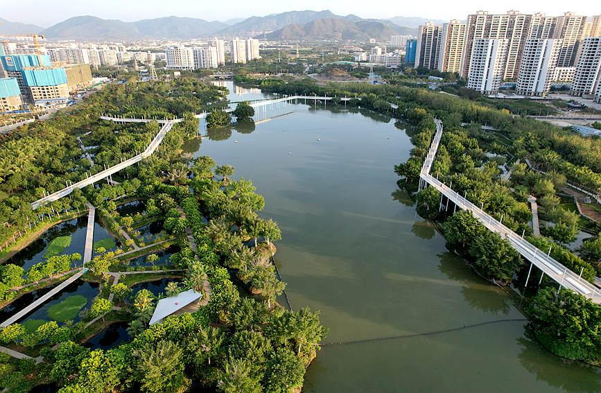 Explore the charming scenery of wetlands in south China's Hainan