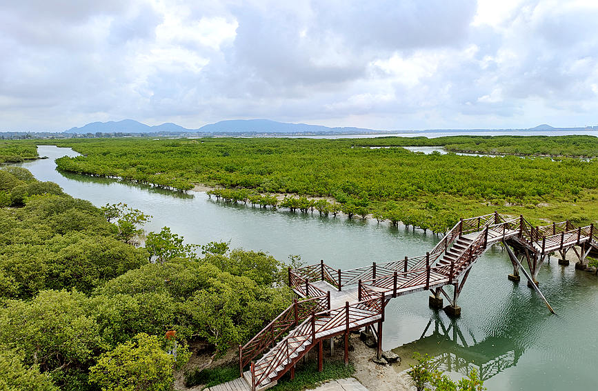 Explore the charming scenery of wetlands in south China's Hainan