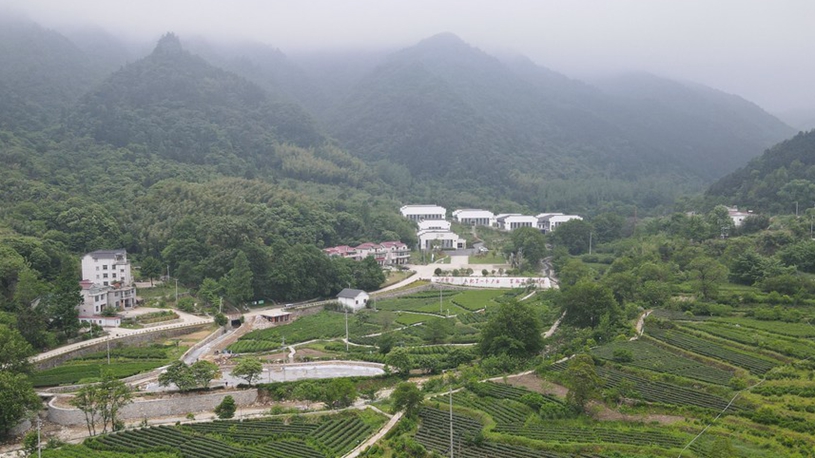 China's mountainous areas explore new ways to generate wealth through green assets