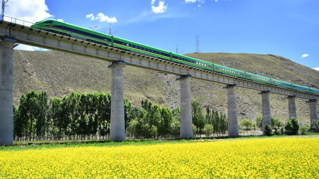 Lhasa-Nyingchi railway marks first anniversary of operation