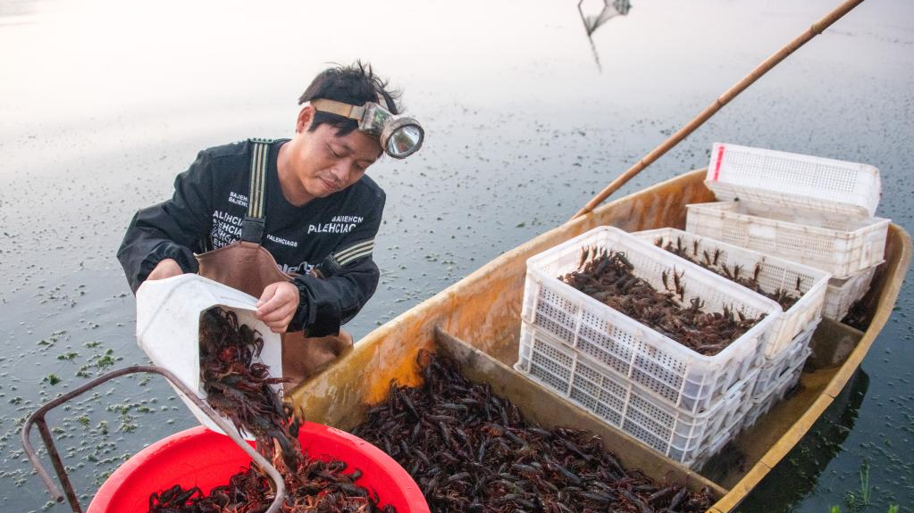 Crayfish-related industry booms in C China