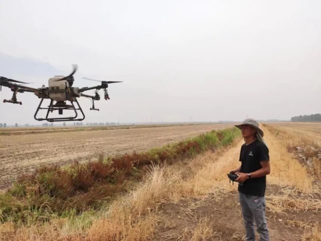 China s agri tech industry abuzz as agricultural drones facilitate