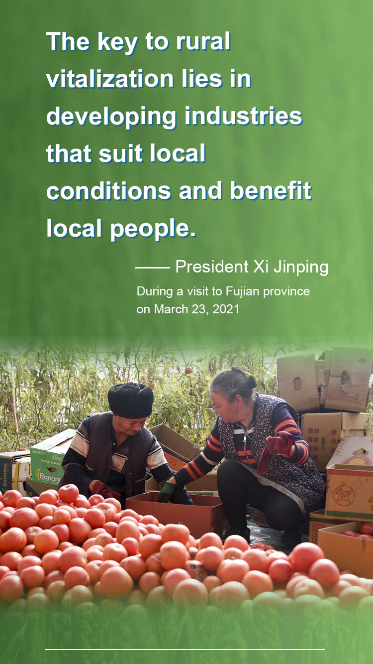 Xi's remarks on rural vitalization