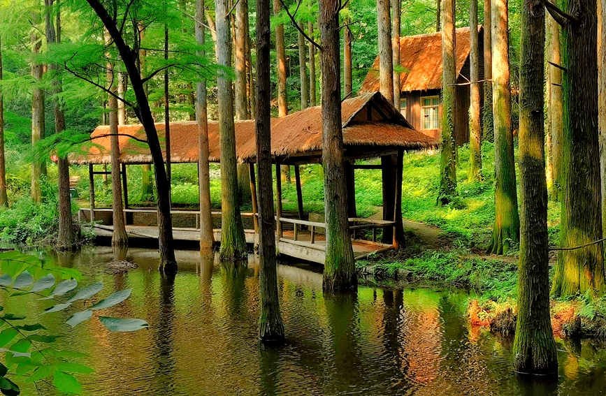 Jigongshan Mountain, an idyllic summer resort in Henan