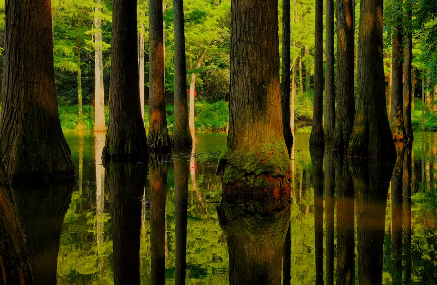 Jigongshan Mountain, an idyllic summer resort in Henan