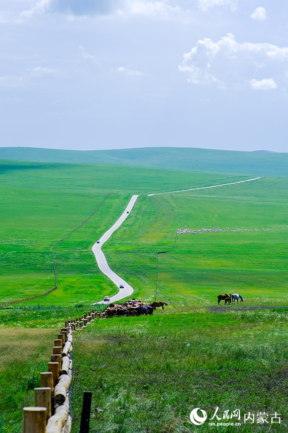 Picturesque summer scenery of Hulun Buir Grassland in N China’s Inner Mongolia