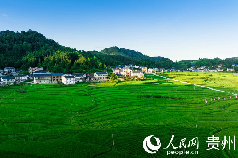 Aerial view of beautiful village in SW China’s Guizhou