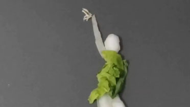 Stop-motion animation: Kungfu cabbage