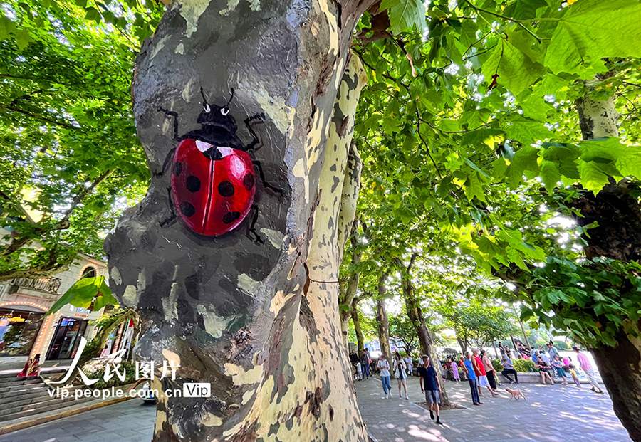 Scenic area in China’s Jiangxi covers tree wounds with paintings of cute animals