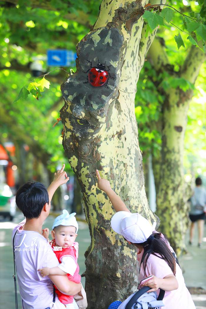 Scenic area in China’s Jiangxi covers tree wounds with paintings of cute animals