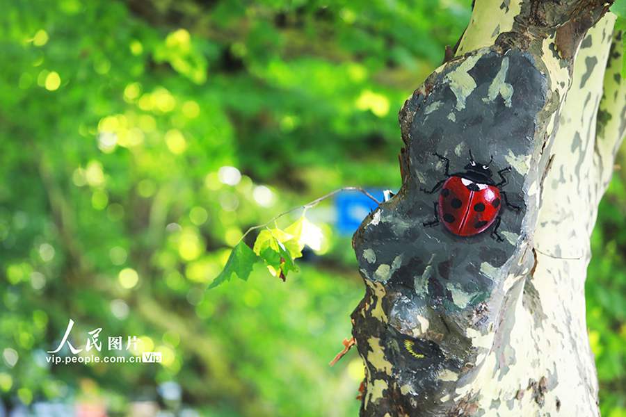 Scenic area in China’s Jiangxi covers tree wounds with paintings of cute animals