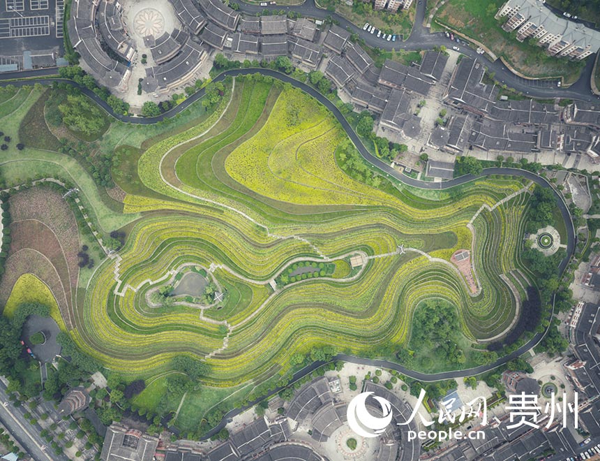 Spectacular terraced fields in SW China’s Guizhou resembling fingerprints