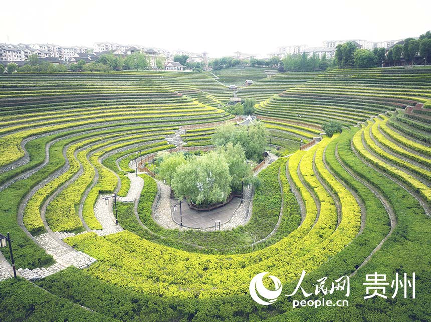 Spectacular terraced fields in SW China’s Guizhou resembling fingerprints