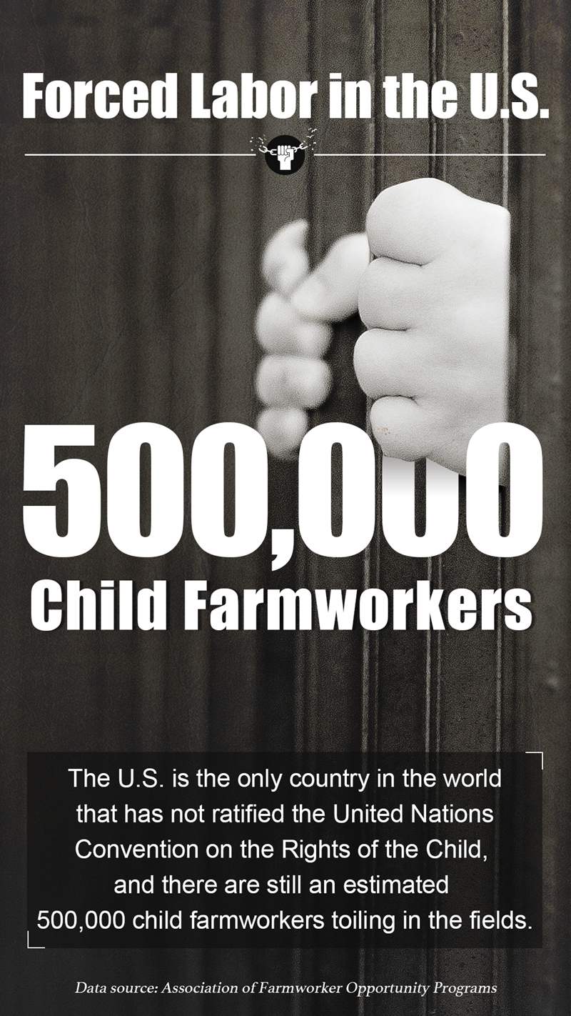 Infographics: Forced labor in the U.S.